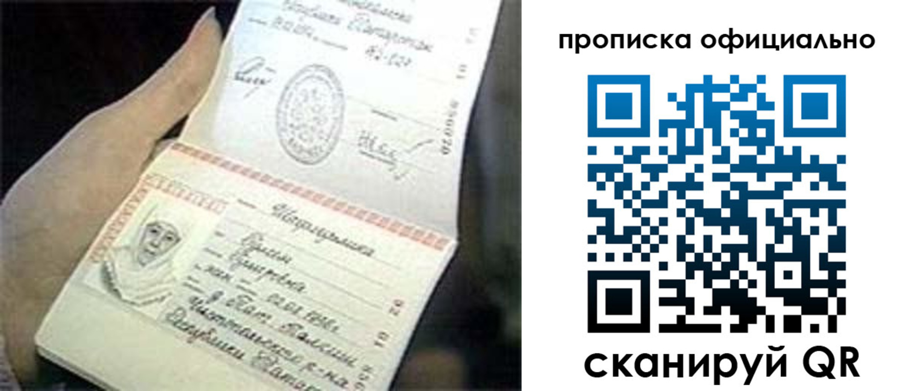 прописка поиск в Малоярославце